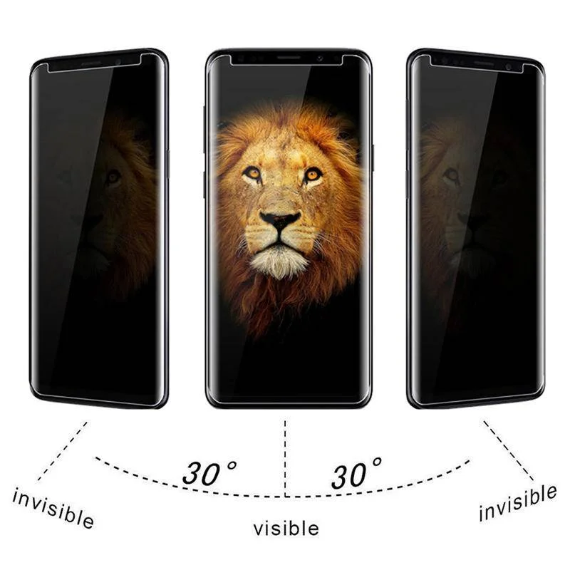 2 buah Pelindung Layar Kaca Te - Anti Spy Privacy Glass Case ulasan dan harga