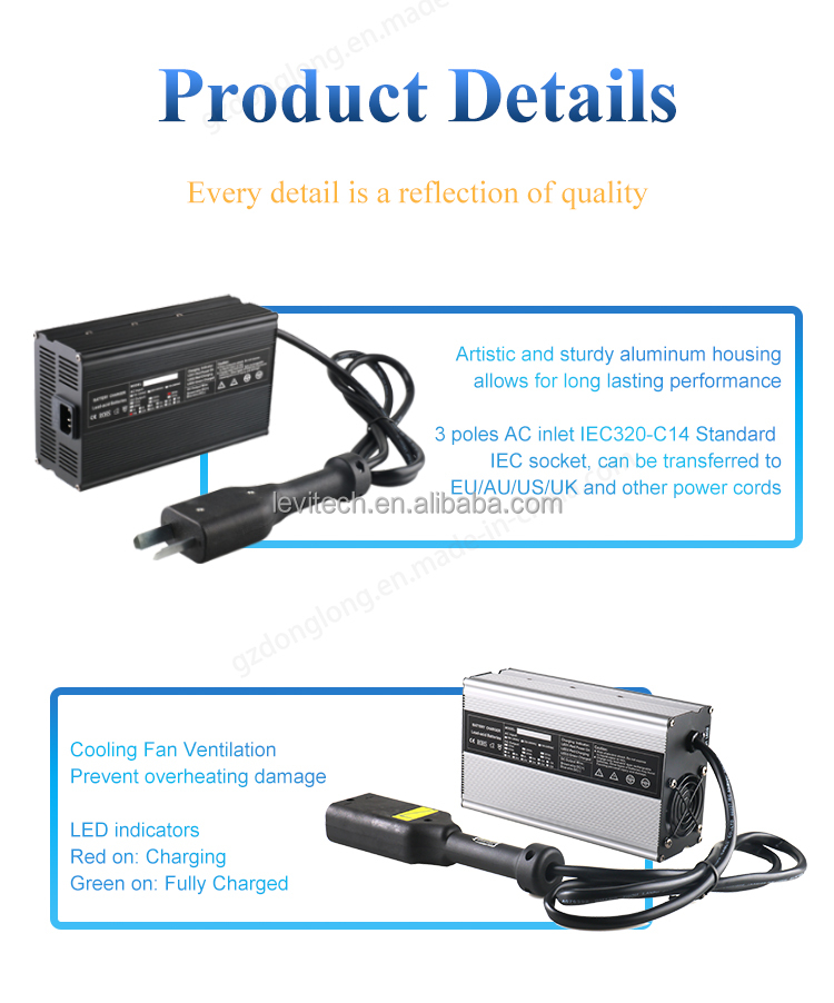 Pengisi Daya Cepat DL900 LiFeP - Chargers ulasan dan harga